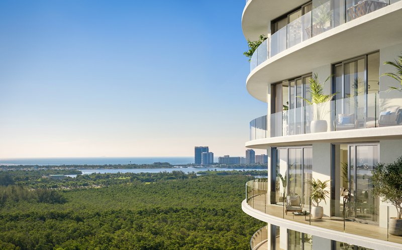 One Park Tower Hummingbird View